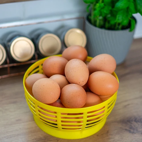 Cestello in plastica per damigiana 5 L, giallo - 8