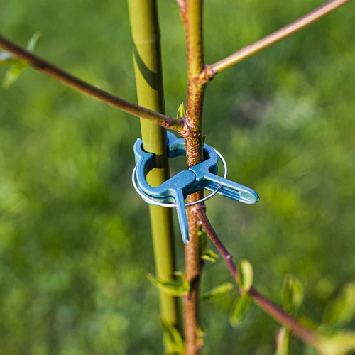 Clip per fissare le piante 20 pz (8 grandi/12 piccoli) - 7