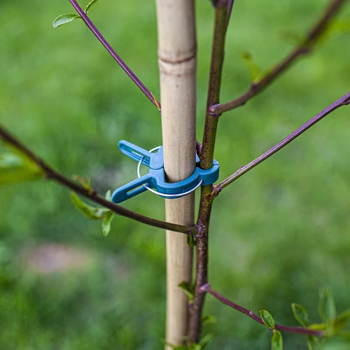 Clip per fissare le piante 20 pz (8 grandi/12 piccoli) - 8