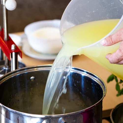 Cloruro di calcio per formaggi, 10 g - 10