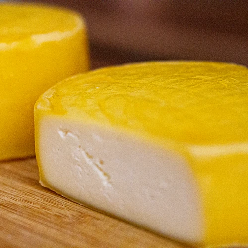 Colture batteriche per formaggio gouda - 5