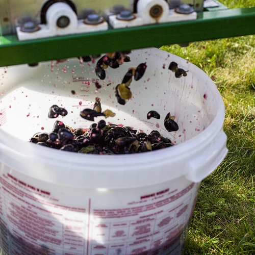 Contenitore di fermentazione 30 L con coperchio e rubinetto - 17