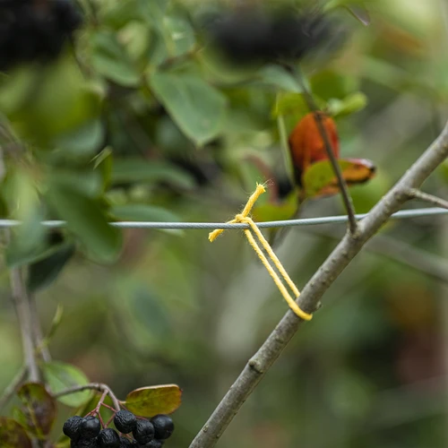 Cordino in cotone giallo 2 mm/55 m/100 g - 7