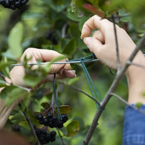Cordino in cotone verde 2 mm/55 m/100 g - 7
