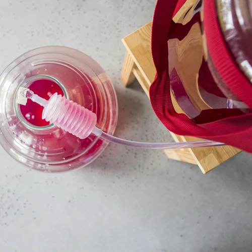 Damigiana per vino leggera e infrangibile con cinghie, 25 L - 18