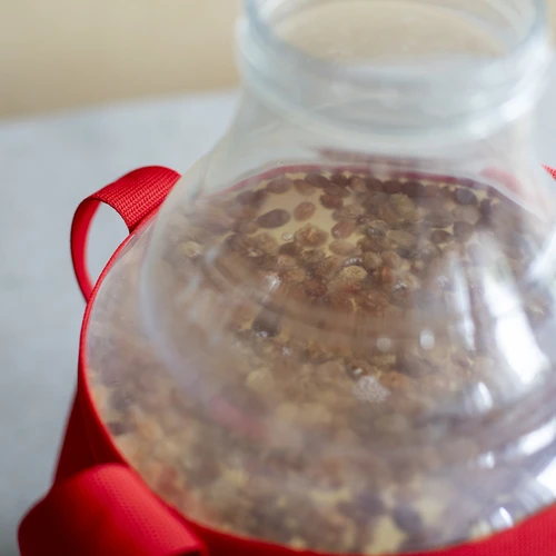 Damigiana per vino leggera, infrangibile, con cinghie, 10 L - 17
