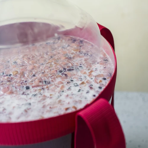 Damigiana per vino leggera, infrangibile, con cinghie, 20 L - 17