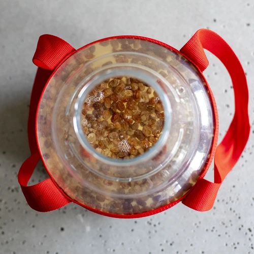 Damigiana per vino leggera, infrangibile, con cinghie di trasporto, 10 L - 18