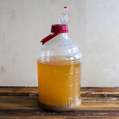 Damigiana per vino leggera, infrangibile, con manico, 25 L - 13