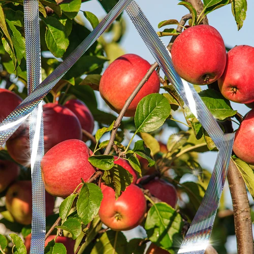 Dissuasore per uccelli - nastro riflettente, 80 m - 10