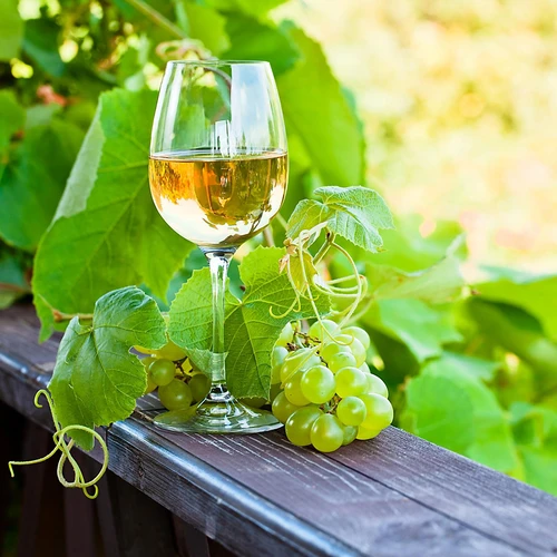 Enovini® OK WHITE - lievito enologico che riduce l'acidità 7 g - 10