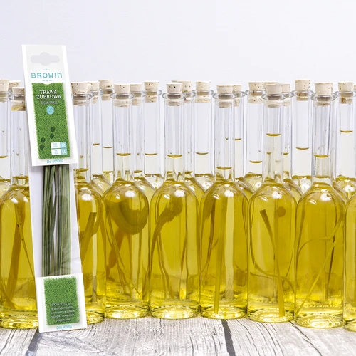 Erba del bisonte - Hierochloe odorata 12 steli / 4 L - 8