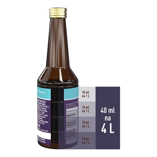 Essenza al gusto di ribes nero con aroma naturale per 4 L - 40 ml - 7
