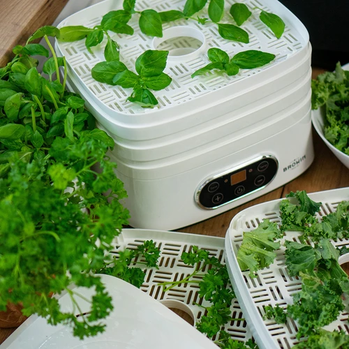 Essiccatore per funghi, frutta, verdure ed erbe aromatiche con regolazione della temperatura, 240W, bianco - 23