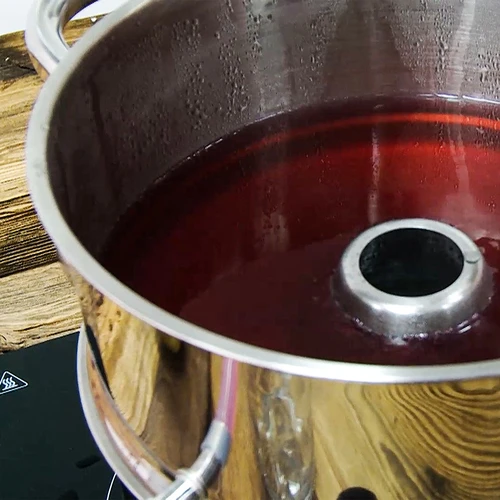 Estrattore di succo a vapore in acciaio inox con vaporiera 5 L - 16