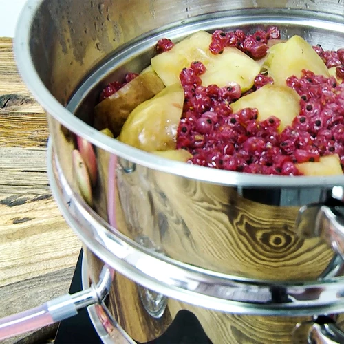 Estrattore di succo a vapore in acciaio inox con vaporiera 5 L - 17