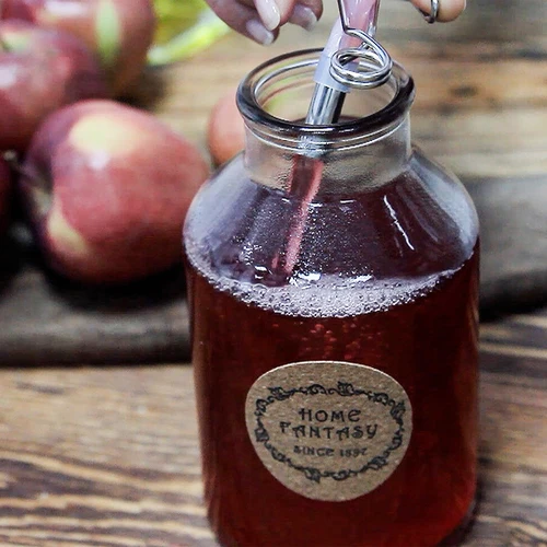 Estrattore di succo a vapore in acciaio inox con vaporiera 5 L - 18