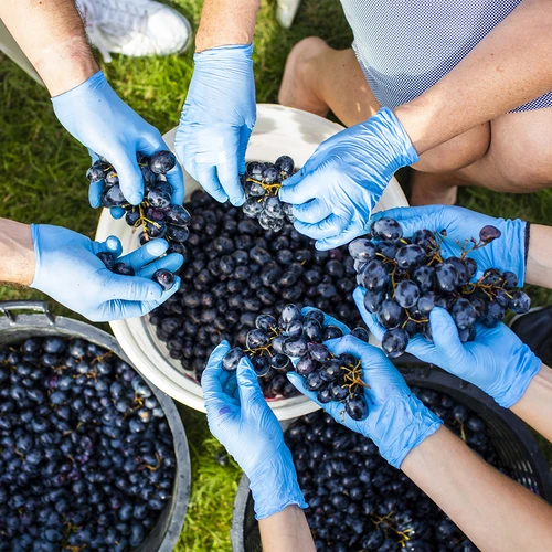 Fermentatore con coperchio da 30 L - 17