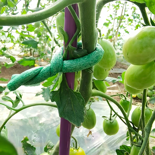 Filo da giardinaggio rivestito in gommapiuma, verde, 10 m, Ø 10 mm - 4
