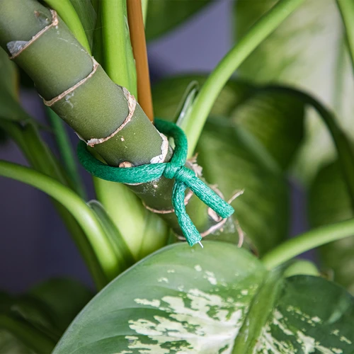 Filo da giardinaggio rivestito in gommapiuma, verde, 10 m, Ø 10 mm - 5