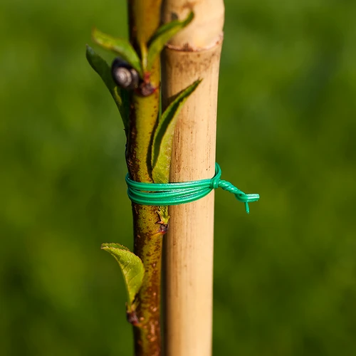 Filo da giardino piatto, rivestito in PVC 50m x 2mm - 2
