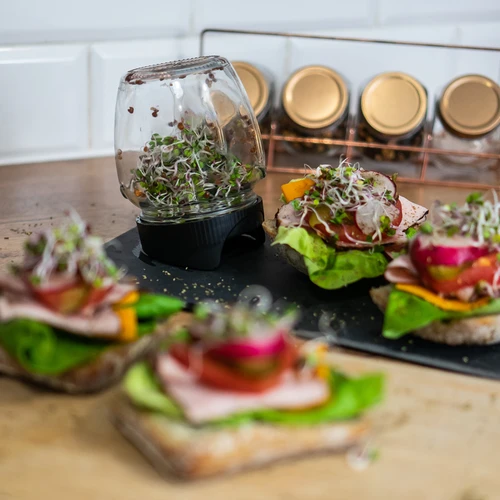 Germogliatore a barattolo Twist-off + 5 confezioni di semi - 11