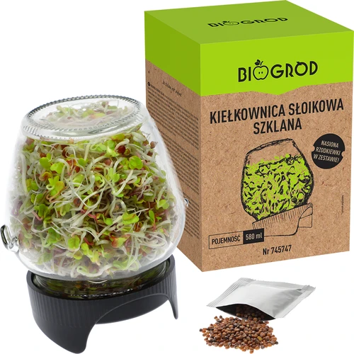 Germogliatore a barattolo Twist-off con semi di ravanello - 5