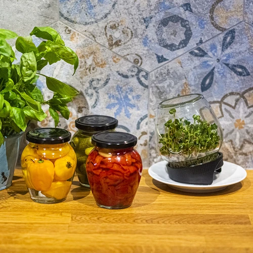 Germogliatore a barattolo Twist-off con semi di ravanello - 14