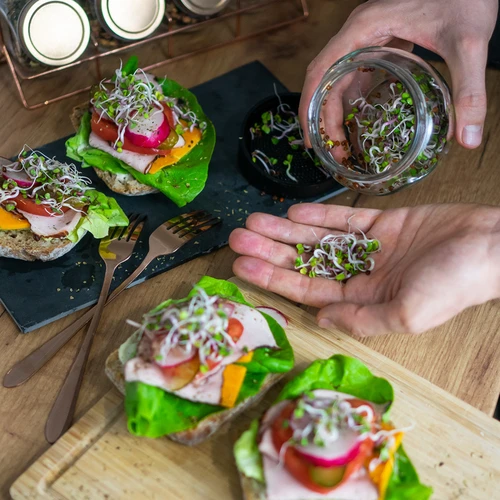 Germogliatore a barattolo Twist-off con semi di ravanello - 12