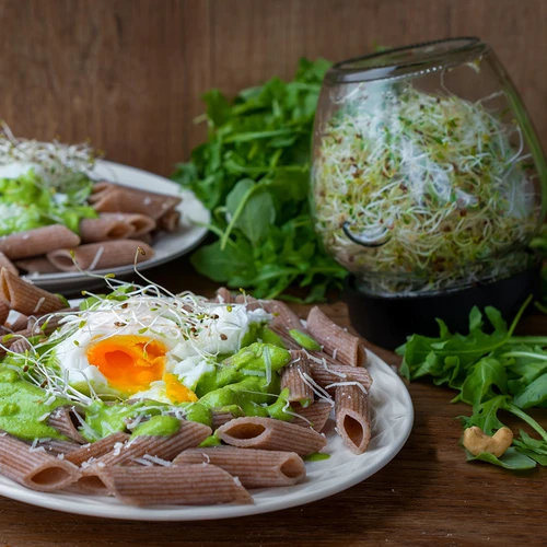 Germogliatore a barattolo Twist-off con semi di ravanello - 15