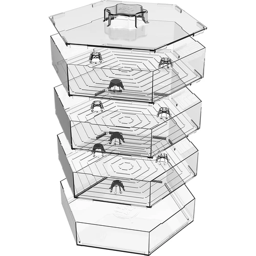 Germogliatore a più livelli Niezłe Ziółko + 10 confezioni di semi - 9