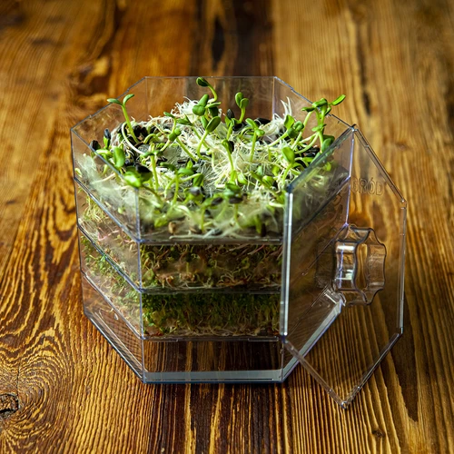 Germogliatore a più livelli Niezłe Ziółko + 10 confezioni di semi - 21