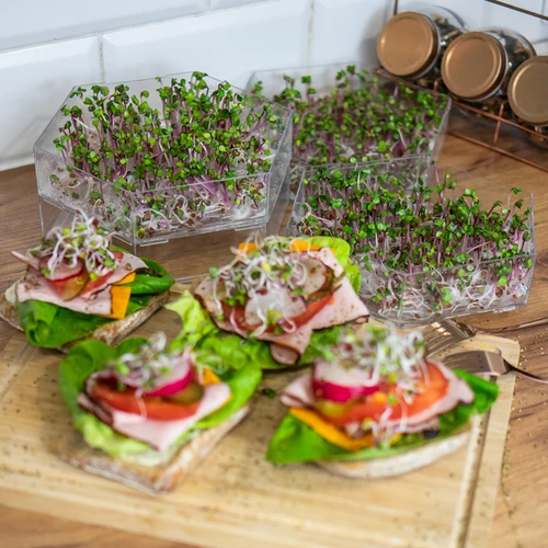 Germogliatore a più livelli Niezłe Ziółko + 10 confezioni di semi - 18