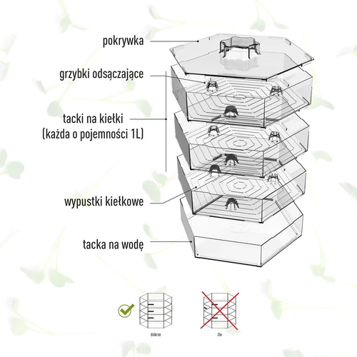 Germogliatore a più livelli Niezłe Ziółko con semi di ravanello - 11
