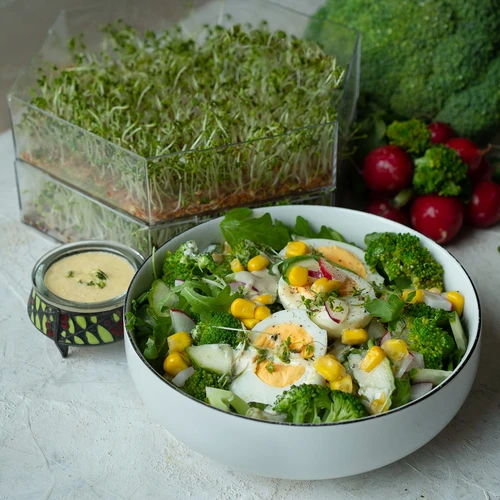 Germogliatore multilivello Niezłe Ziółko con semi di ravanello - 13