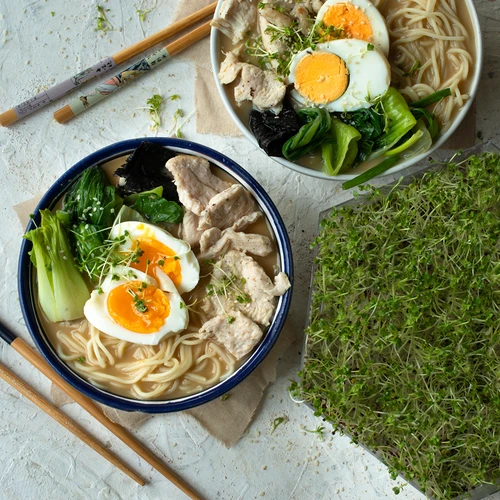 Germogliatore multilivello Niezłe Ziółko con semi di ravanello - 17