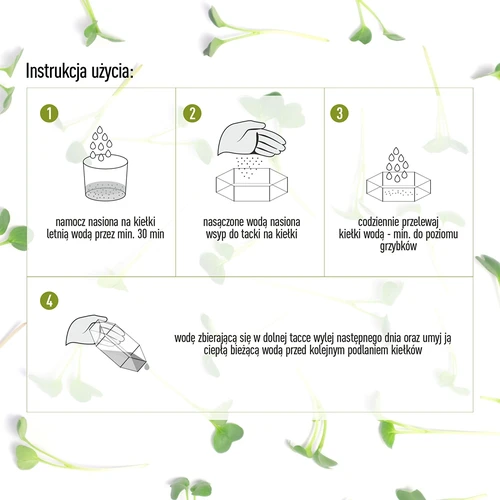 Germogliatore multilivello Niezłe Ziółko con semi di ravanello - 10