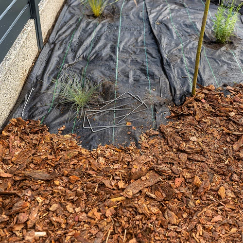 Graffe a U in acciaio per telo pacciamante - 100 pezzi - 10