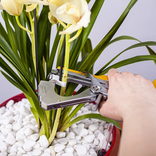 Graffette per legatrice da giardino - 10000 pezzi - 5