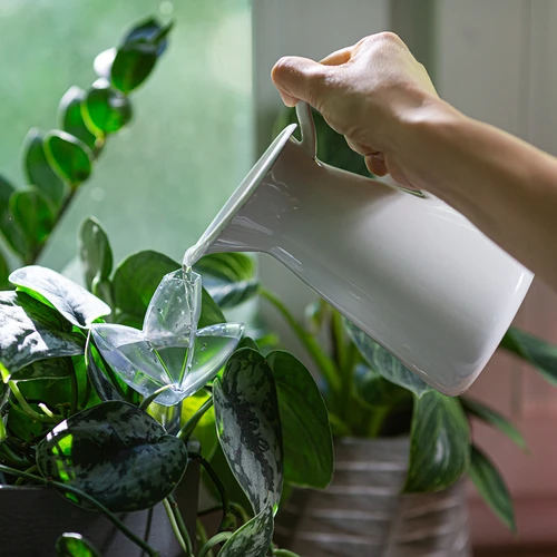 Irrigatore per piante – fogliolina trasparente con puntale in ceramica, 120 ml - 8