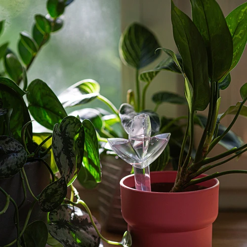 Irrigatore per piante – fogliolina trasparente con puntale in ceramica, 120 ml - 9