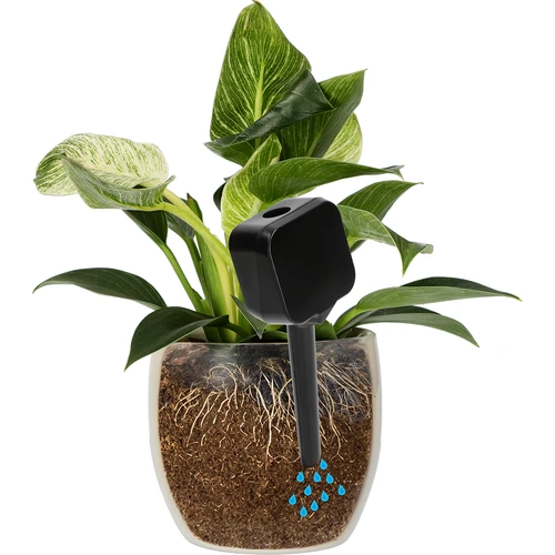 Irrigatore per piante – lavagna nera, 200 ml - 6