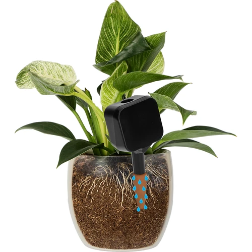 Irrigatore per piante – lavagna nera con piedino in ceramica, 200 ml - 6