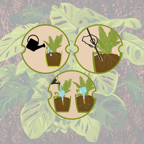 Irrigatore per piante – lavagnetta nera con puntale in ceramica, 200 ml - 10