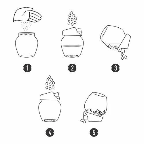 Kiełkownica słoikowa Twist-off + 5 opakowań nasion - 9