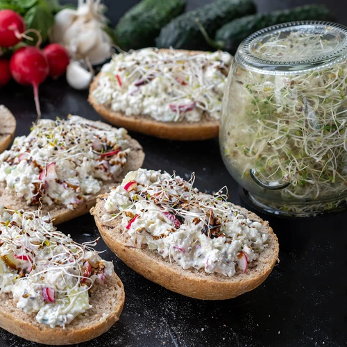 Kit di semi per germogli - 10 confezioni - 4