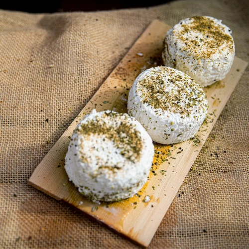 Kit per formaggio - giovane casaro - 11