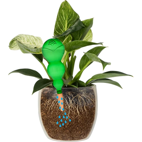 Kula nawadniająca potrójna (trzykomorowa), przezroczysta zielona z ceramiczną nóżką, 600ml - 3