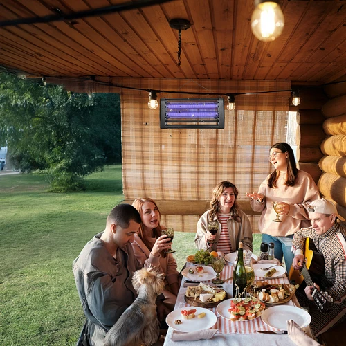 Lampada insetticida UVA 20 W, nera - 9