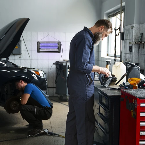 Lampada insetticida UVA 20 W, nera - 11